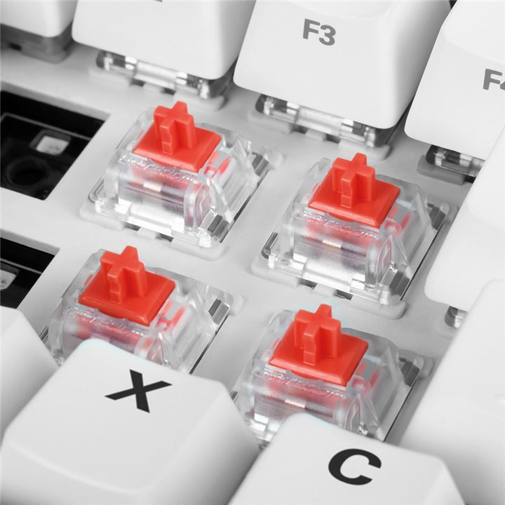 Switch_Set_Gateron_PRO_RED_content_02